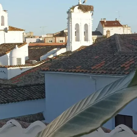 Elite - Art Collection - Andy *