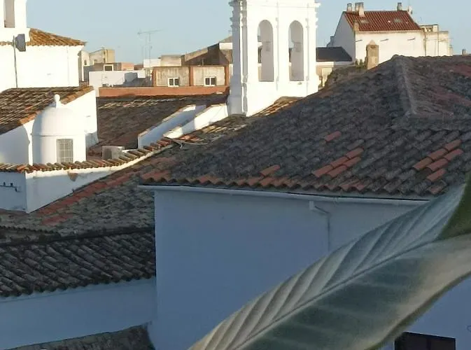 Elite - Art Collection - Andy *